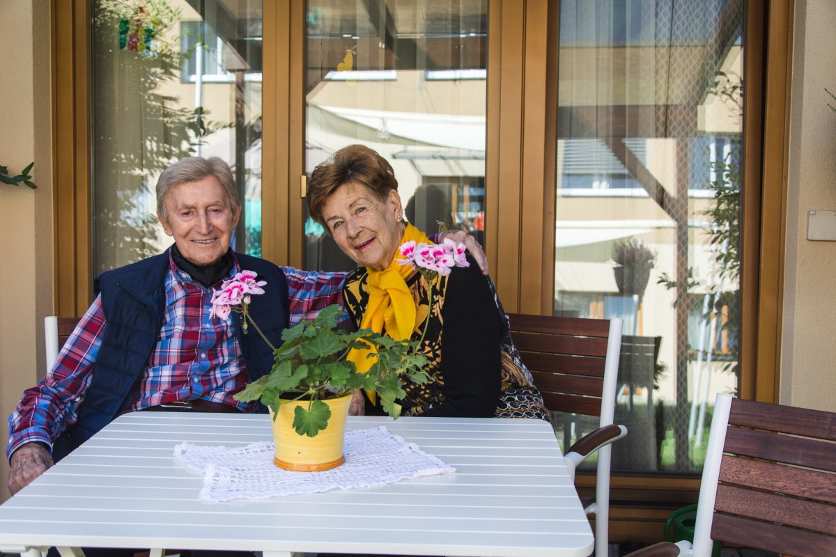 senecura ais graz-47-of-156